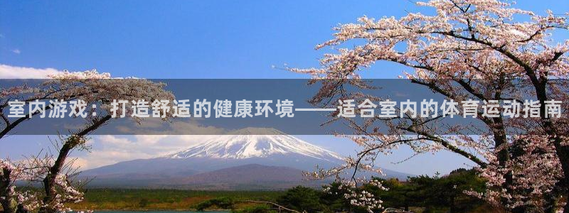 速8体育网：室内游戏：打造舒适的健康环境——适合室内的体育运动指南