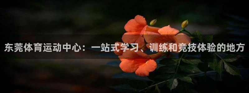 关键词：东莞体育运动中心：一站式学习、训练和竞技体验的地方