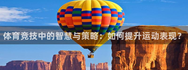 速8体育网