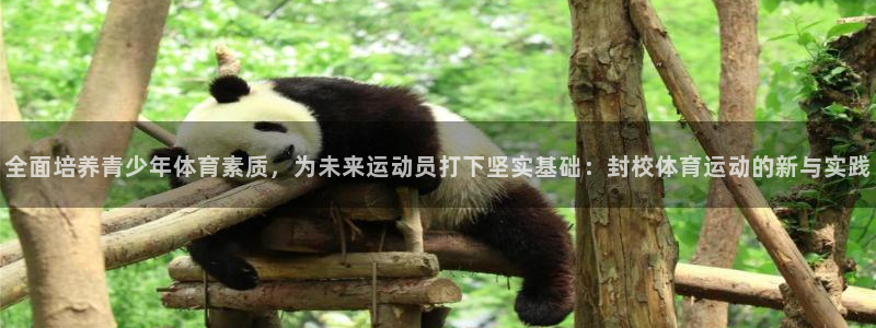 速8体育网