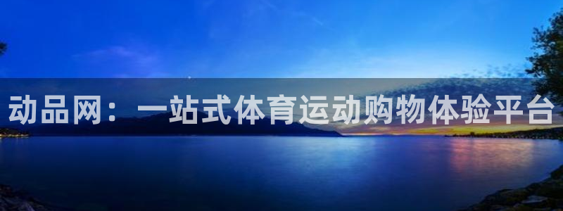 速8体育网