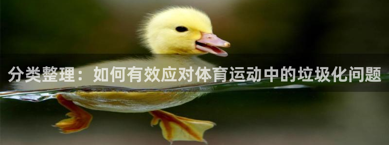 速8体育网