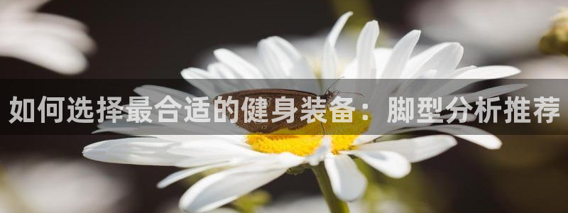 关键词