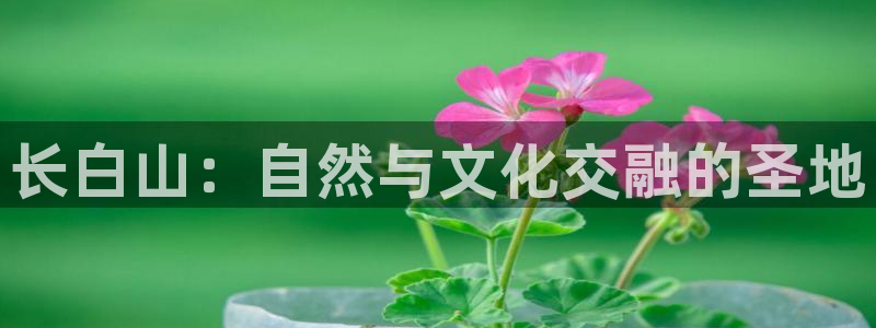 速8体育网：长白山：自然与文化交融的圣地