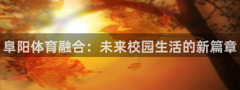 速8体育网