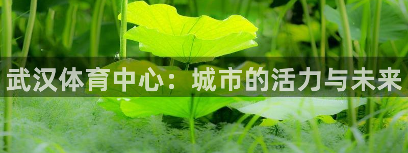 关键词