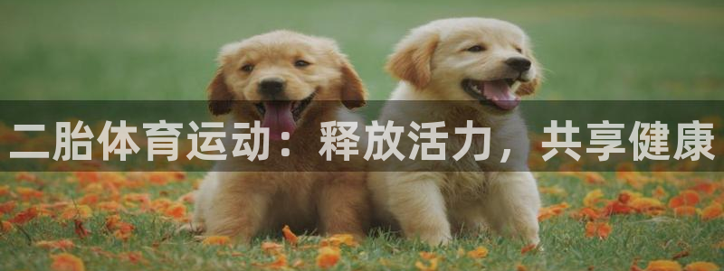 速8体育网